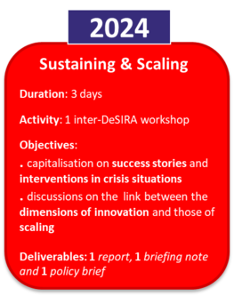 Sustaining and scaling 