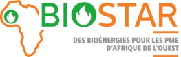 Logo BIOSTAR