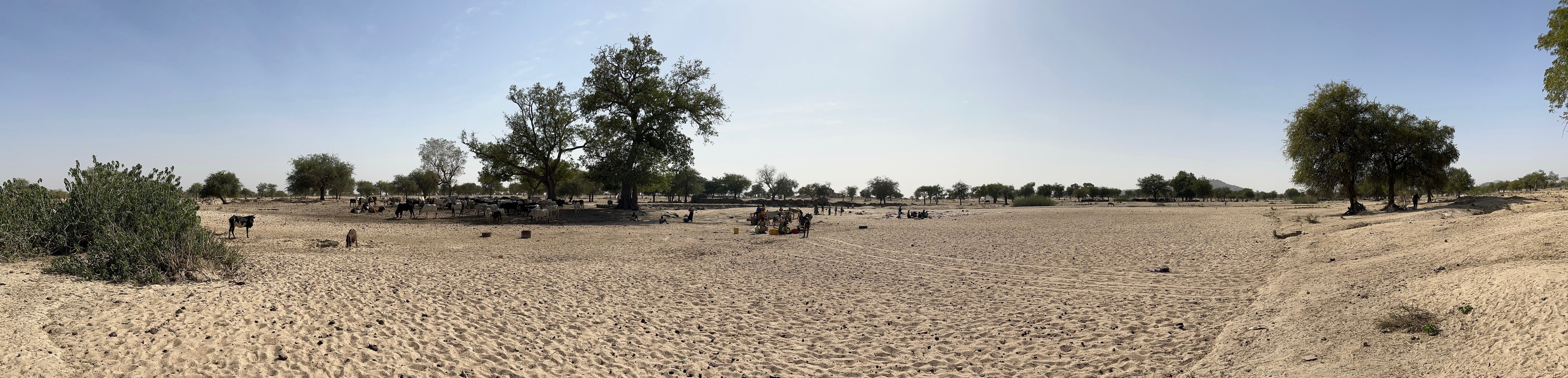 Site du barrage souterrain de Barlo - Guera, Tchad - février 2022 © I. Toure, Cirad