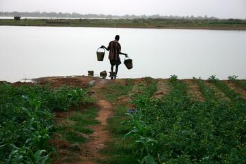 Irrigation manuelle de parcelles maraichères périurbaines - Ouagadougou, Lac de Loumbila, Burkina Faso - juillet 2007 © A. Rival, Cirad