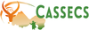 Logo du projet CASSECS